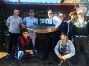 NA ADI: Ulovljena tuna od 65 kilograma NA ADI: Ulovljena tuna od 65 kilograma