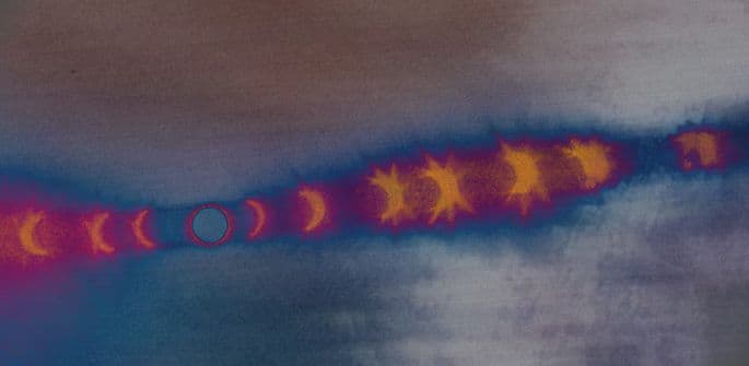 Nedjeljni bioritam (30. jul - 05. avgust) Nedjeljni bioritam (30. jul - 05. avgust)