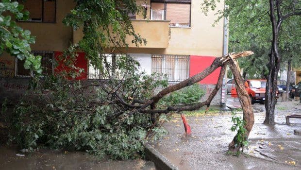 Banjaluka: Snažan vjetar čupao drveće, lomio grane... Banjaluka: Snažan vjetar čupao drveće, lomio grane...