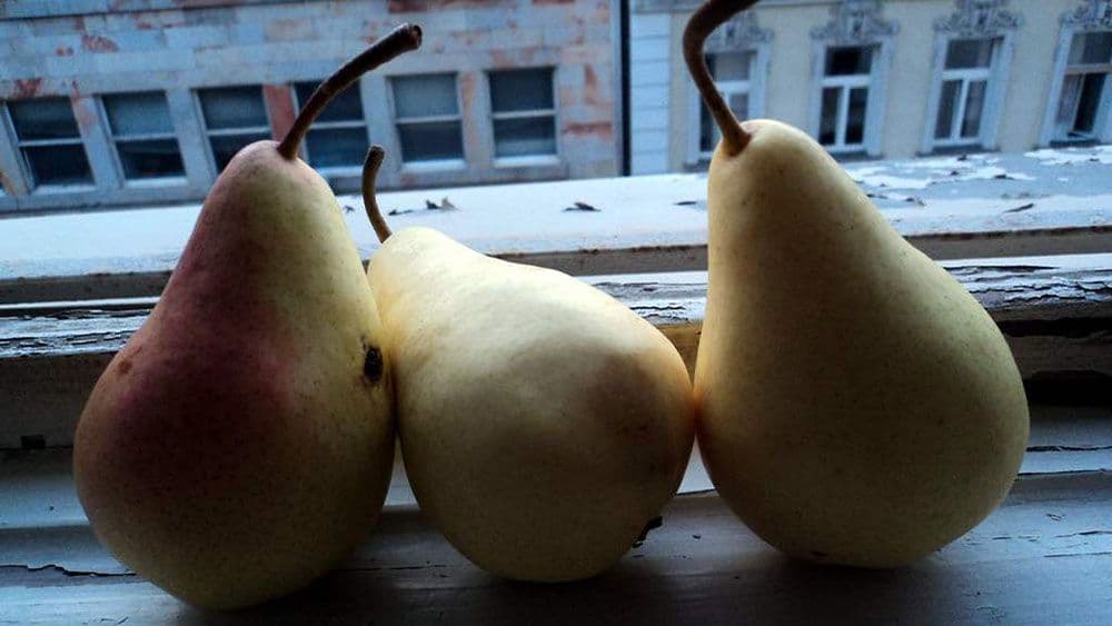 Viktor Ivančić: Obavještajno nadzemlje Viktor Ivančić: Obavještajno nadzemlje