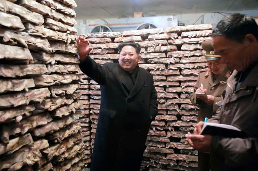 Kako je Sjeverna Koreja lažirala uspješno lansiranje balističkih raketa (VIDEO) Kako je Sjeverna Koreja lažirala uspješno lansiranje balističkih raketa (VIDEO)