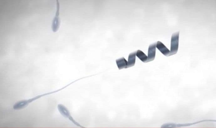 Uspješno testirani roboti za navođenje spermatozoida Uspješno testirani roboti za navođenje spermatozoida