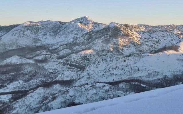 Spašena Ivana Tabaković Spašena Ivana Tabaković