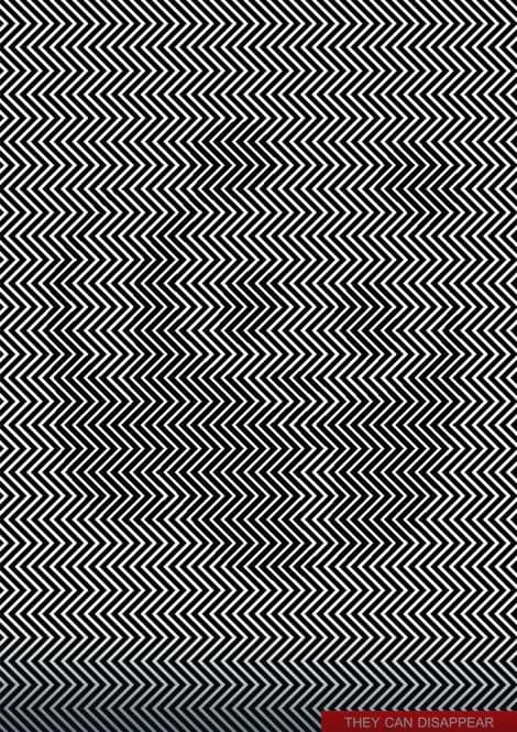 Da li vidite što se krije na slici? Da li vidite što se krije na slici?