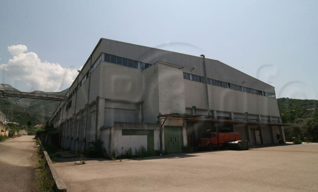 Ostojić: Garancije za Primorku iskorišćene prema namjeni Ostojić: Garancije za Primorku iskorišćene prema namjeni