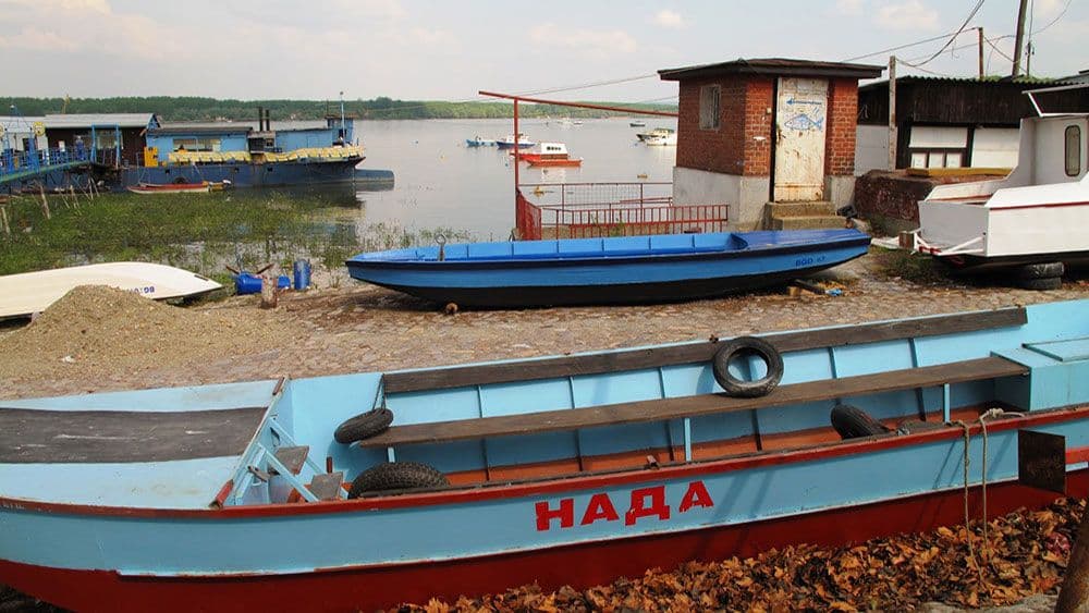 Vladimir Gligorov : O prevremenim izborima Vladimir Gligorov : O prevremenim izborima