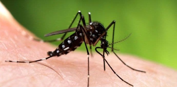 Venecuela: 4.700 mogućih zaraženih zika virusom Venecuela: 4.700 mogućih zaraženih zika virusom