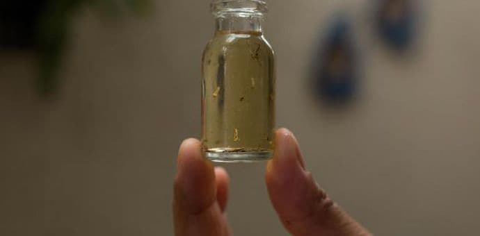 Širenje zika virusa - više smrti od abortusa Širenje zika virusa - više smrti od abortusa