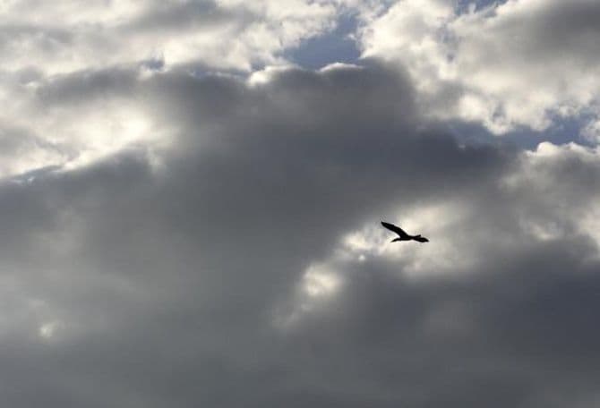 Sjutra pretežno oblačno i kišovito Sjutra pretežno oblačno i kišovito