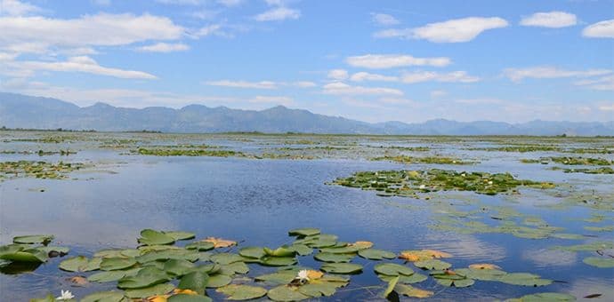 Sjutra je Svjetski dan vlažnih područja Sjutra je Svjetski dan vlažnih područja