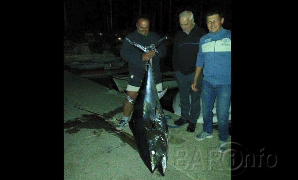 Ciganović ima ulov godine, a Radović mjececa Ciganović ima ulov godine, a Radović mjececa