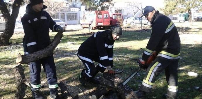 Akcija čišćenja park šume na Koniku Akcija čišćenja park šume na Koniku