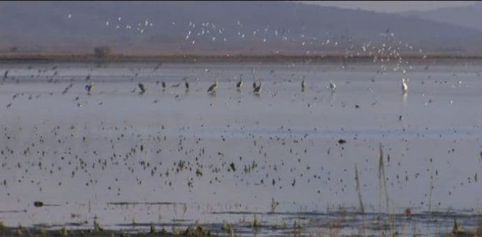 CZIP: Sudbina ulcinjske Solane leži u novom Prostornom planu CZIP: Sudbina ulcinjske Solane leži u novom Prostornom planu