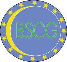 BSCG poziva na sveopšte jedinstvo Bošnjaka BSCG poziva na sveopšte jedinstvo Bošnjaka