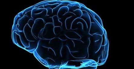 Nagrada od 100.000 dolara za neurologa koji sačuva mozak da ga oživi za 100 godina Nagrada od 100.000 dolara za neurologa koji sačuva mozak da ga oživi za 100 godina