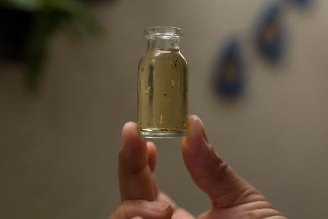 U Kolumbiji 3.100 trudnica zaraženo virusom zika U Kolumbiji 3.100 trudnica zaraženo virusom zika