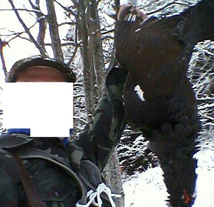 Drešković: Stanje krivolova na Prokletijama alarmantno Drešković: Stanje krivolova na Prokletijama alarmantno