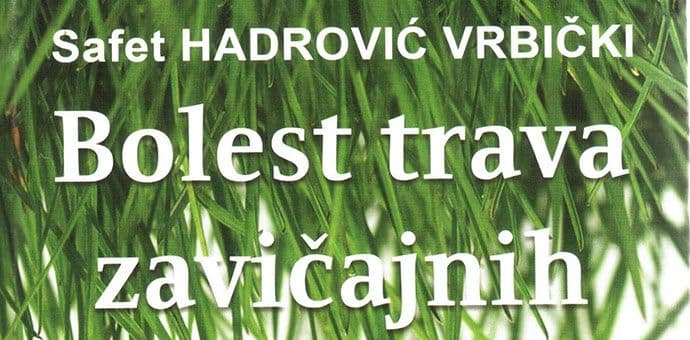 O stihovima Safeta Hadrovića Vrbičkog u KIC-u O stihovima Safeta Hadrovića Vrbičkog u KIC-u