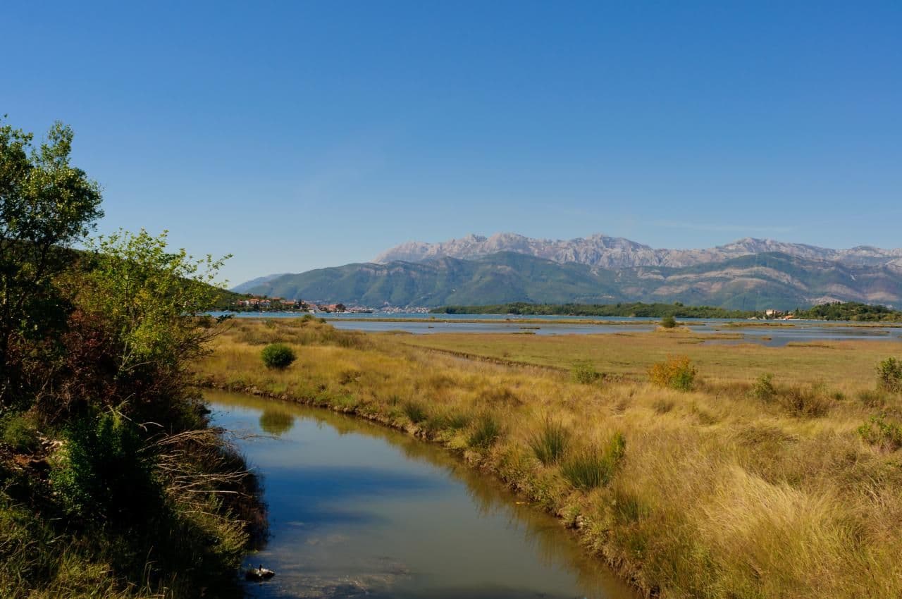 Tivat: Morsko dobro će najviše investirati u Solila Tivat: Morsko dobro će najviše investirati u Solila