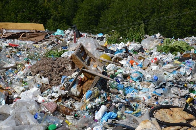 Crna Gora, politizacija društva i ekologija: Kako sačuvati granu na kojoj sjedimo Crna Gora, politizacija društva i ekologija: Kako sačuvati granu na kojoj sjedimo