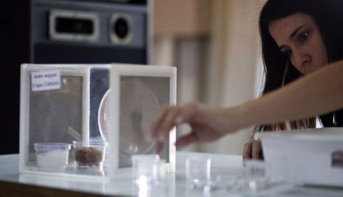 Zika opasnija nego što se mislilo Zika opasnija nego što se mislilo