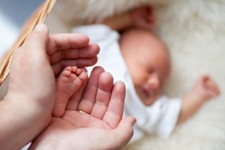 Besplatna vantjelesna oplodnja Besplatna vantjelesna oplodnja