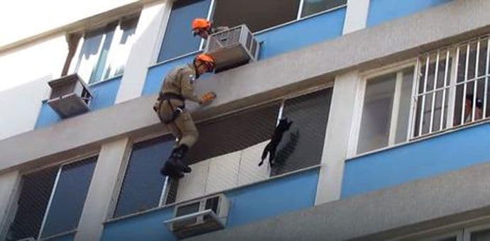 Vatrogasci rizikovali život da bi spasili mačku (VIDEO) Vatrogasci rizikovali život da bi spasili mačku (VIDEO)