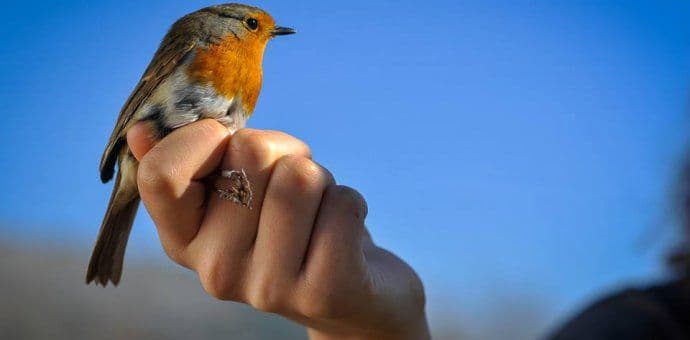 CZIP: Konkurs za ljubitelje fotografije CZIP: Konkurs za ljubitelje fotografije