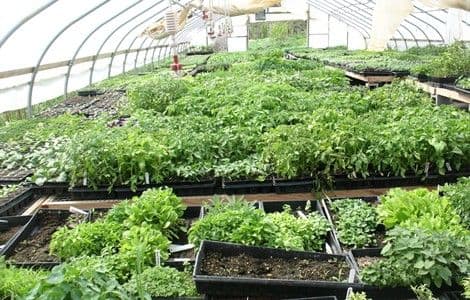 Pozivi za podršku biljne proizvodnje Pozivi za podršku biljne proizvodnje