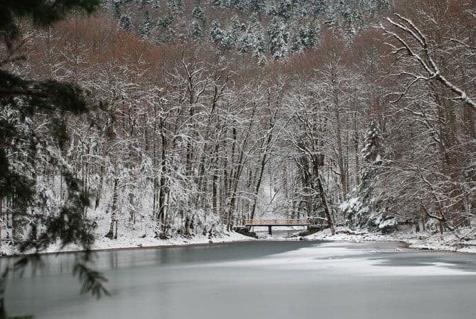 REPORTAŽA – NP Biogradska gora: Ona gora koja se obožava REPORTAŽA – NP Biogradska gora: Ona gora koja se obožava