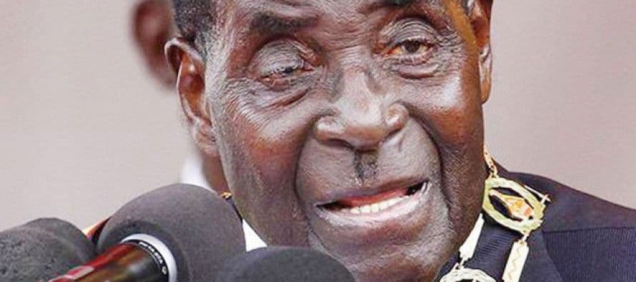 Mugabe: Hoćeš li da te sad nokautiram da shvatiš da sam ja još ovdje?! Mugabe: Hoćeš li da te sad nokautiram da shvatiš da sam ja još ovdje?!