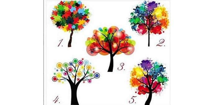 Drvo otkriva kakva ste ličnost Drvo otkriva kakva ste ličnost