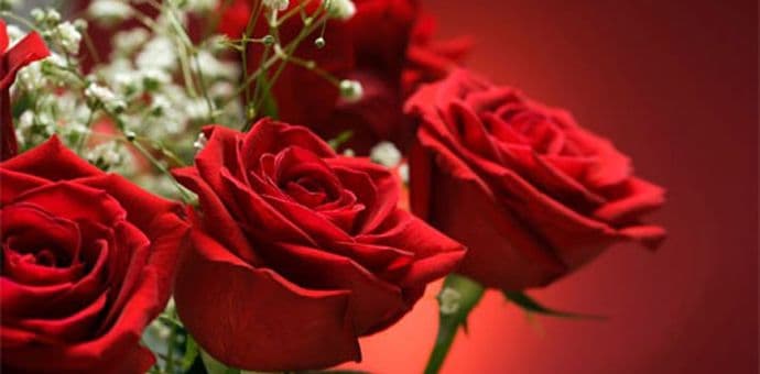 Čestitke partija povodom 8.marta Čestitke partija povodom 8.marta