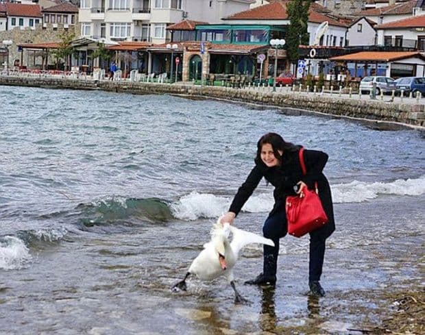 Ubila labuda jer je očajnički željela da se slika sa njim! Ubila labuda jer je očajnički željela da se slika sa njim!