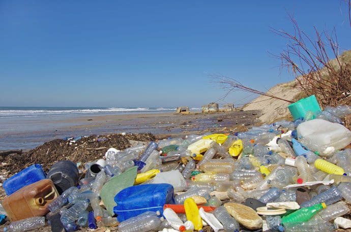 Naučnici pronašli bakteriju koja jede plastiku Naučnici pronašli bakteriju koja jede plastiku