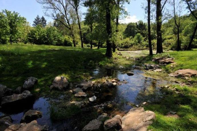 Društvo mladih ekologa iz Nikšića: Zaštitimo Studenačku glavicu i Blace Društvo mladih ekologa iz Nikšića: Zaštitimo Studenačku glavicu i Blace