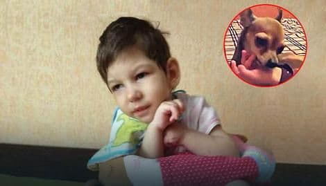 VJERAN DO KRAJA: Pored tijela djevojčice koju je ubila dadilja pronađeni ostaci psa VJERAN DO KRAJA: Pored tijela djevojčice koju je ubila dadilja pronađeni ostaci psa