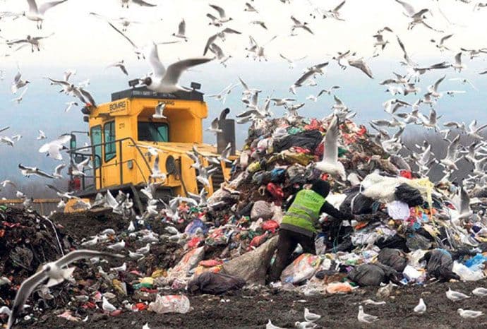 Muž slučajno bacio burmu od 350.000 eura Muž slučajno bacio burmu od 350.000 eura