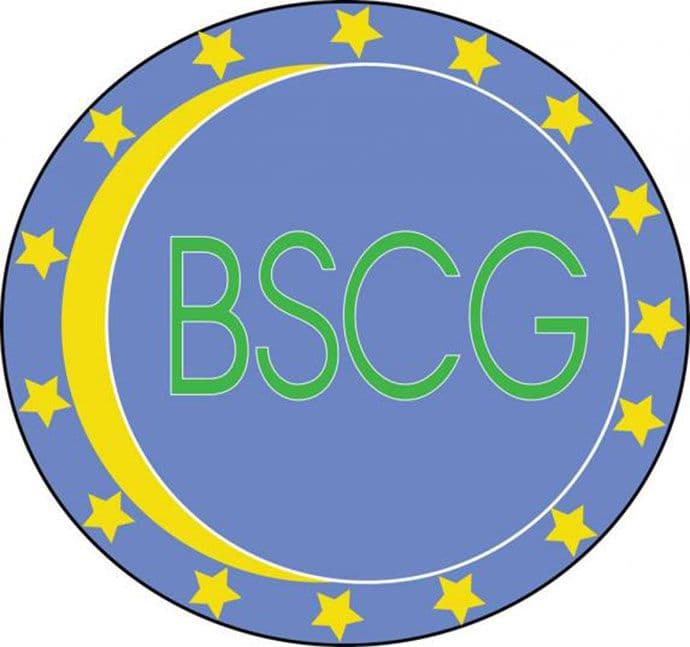 BSCG: Ostvariti političko jedinstvo Bošnjaka u Crnoj Gori BSCG: Ostvariti političko jedinstvo Bošnjaka u Crnoj Gori