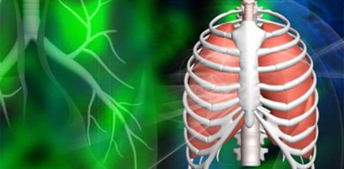 Niska stopa obolijevanja od tuberkuloze Niska stopa obolijevanja od tuberkuloze