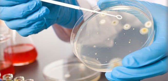 ALARM: Loša higijena, bakterije i neispravni uzorci hrane u ugostiteljskim objektima ALARM: Loša higijena, bakterije i neispravni uzorci hrane u ugostiteljskim objektima