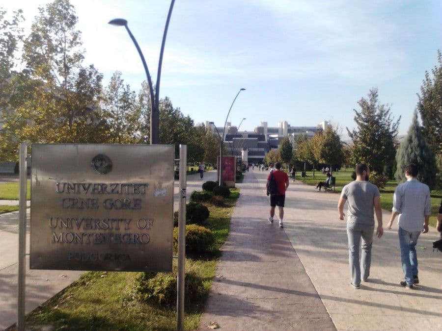 Studente niko ništa ne pita Studente niko ništa ne pita