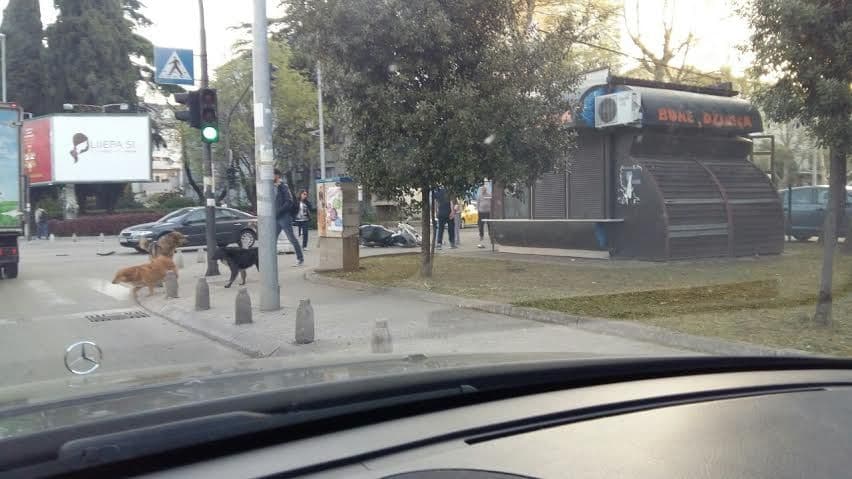 Podgorica: Sudar automobila i motora Podgorica: Sudar automobila i motora