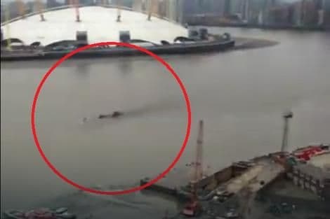 VIDEO: Misteriozno biće snimljeno u Londonu VIDEO: Misteriozno biće snimljeno u Londonu