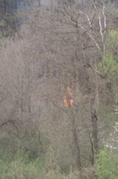 Bijelo Polje: Požar u izletištu Kisjele vode Bijelo Polje: Požar u izletištu Kisjele vode