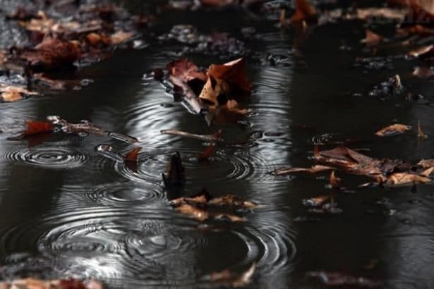 Sjutra oblačno sa kišom Sjutra oblačno sa kišom