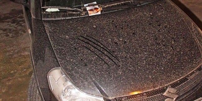 U Podgorici ponovo padala izuzetno prljava kiša U Podgorici ponovo padala izuzetno prljava kiša