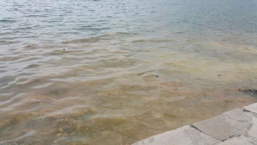 Zamućeno more u Donjoj Lastvi Zamućeno more u Donjoj Lastvi