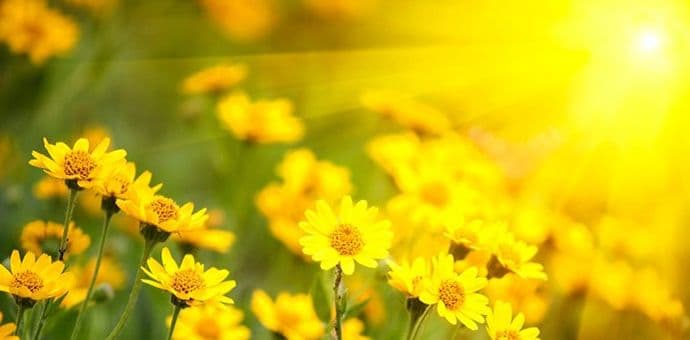 KINESKI HOROSKOP: Kome je april mjesec promjena, a kome iznenađenja KINESKI HOROSKOP: Kome je april mjesec promjena, a kome iznenađenja