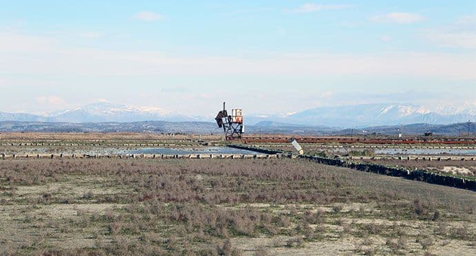 Bijenale u Veneciji: Istraživanje jednog od najvećih post-industrijskih pejzaža Evrope Bijenale u Veneciji: Istraživanje jednog od najvećih post-industrijskih pejzaža Evrope